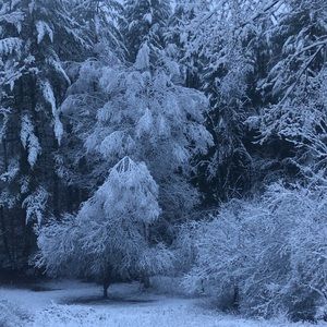 Meet your Posher, Terri